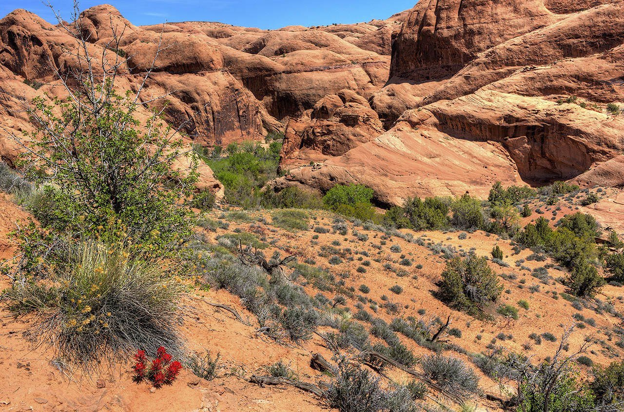 Moab Landscape